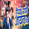 About Happy Birthday Aryan Bhaiya Song